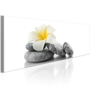 Tableau décoratif : White Lotus en hq