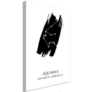 Tableau décoratif : Zodiac Signs: Aquarius (1 Part) Vertical en hq