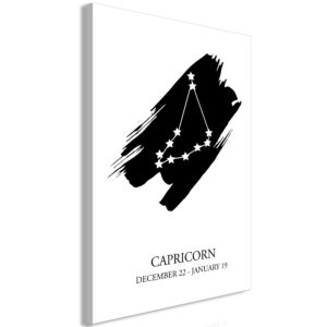 Tableau décoratif : Zodiac Signs: Capricorn (1 Part) Vertical en hq