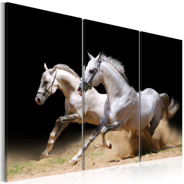 Tableau décoratif : chevaux - force et dynamique en hq