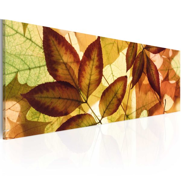 Tableau décoratif : collage - feuilles en hq