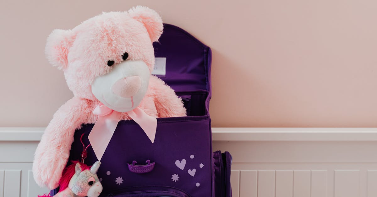 découvrez comment ranger et protéger vos sex toys en toute discrétion grâce à nos conseils pratiques et solutions de stockage adaptés à tous vos besoins.